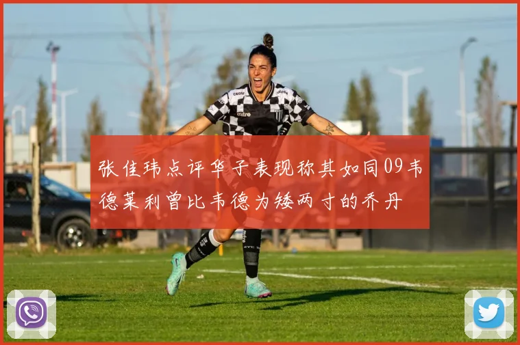 张佳玮点评华子表现称其如同09韦德莱利曾比韦德为矮两寸的乔丹