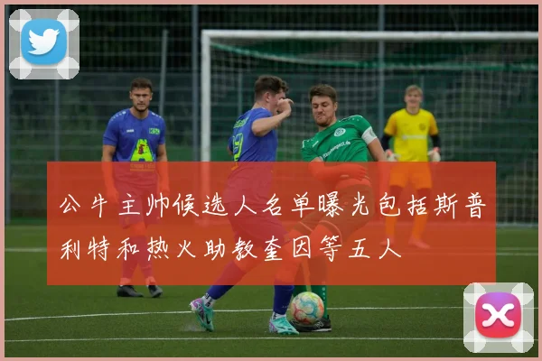 公牛主帅候选人名单曝光包括斯普利特和热火助教奎因等五人
